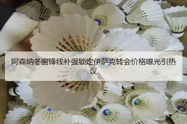 阿森纳冬窗锋线补强锁定伊萨克转会价格曝光引热议 - BaJIeSPORtS